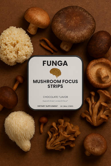 Unlock Clarity, Elevate Your Everyday Life!