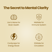 FUNGA Mushroom Focus Strips